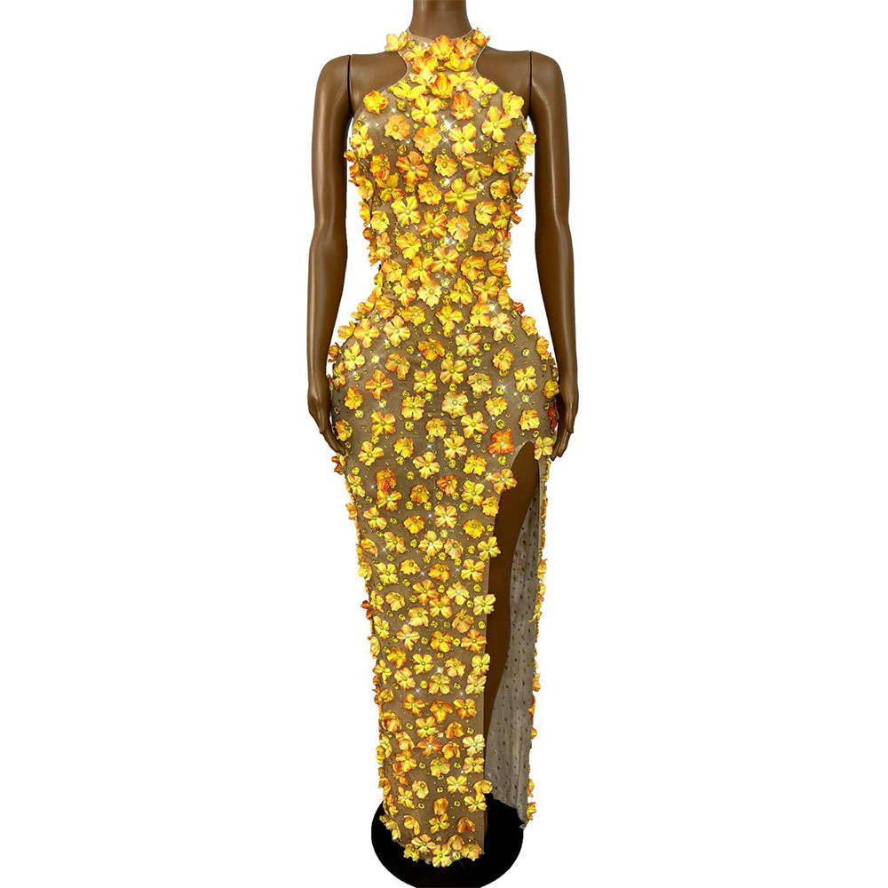 Women Fashion Photoshoot - Vestido de Noche Sexy y Elegante